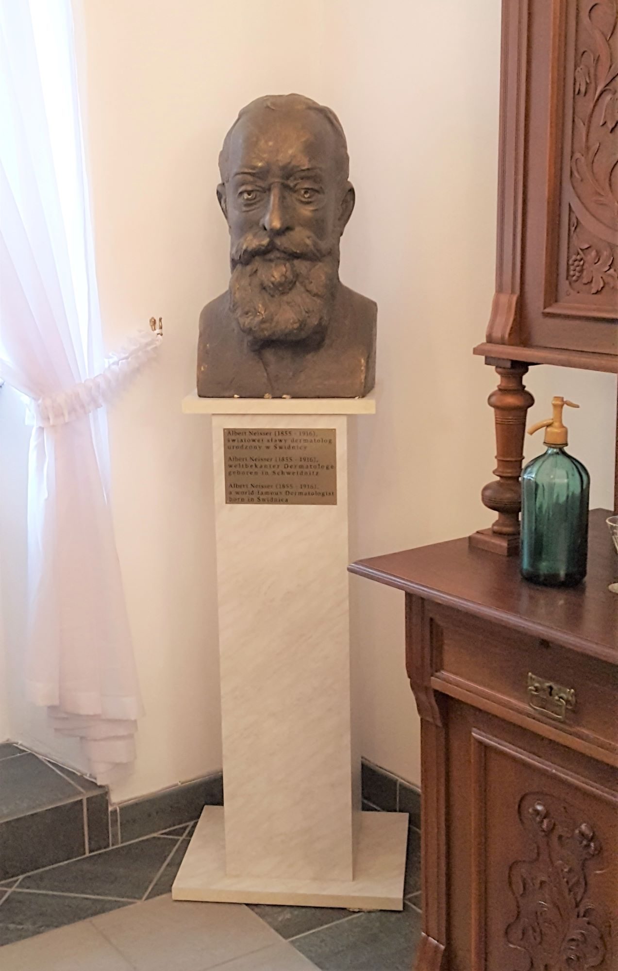 Albert Neisser's bust, Swidnica (by Magdalena Mazurak) (2).jpg